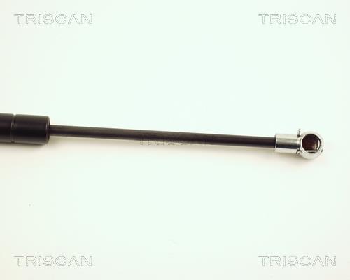 Vérin (Vérin de hayon) Triscan A/S 8710 23204