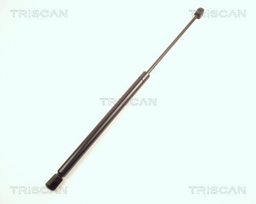 Vérin (Vérin de hayon) Triscan A/S 8710 23205