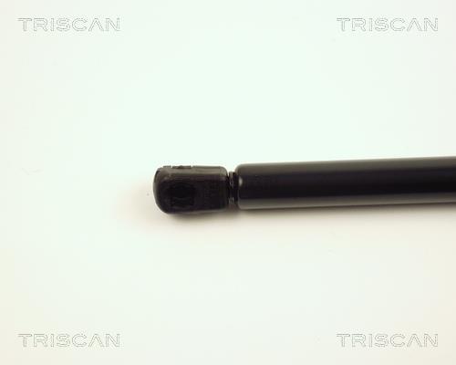 Vérin (Vérin de hayon) Triscan A/S 8710 23205