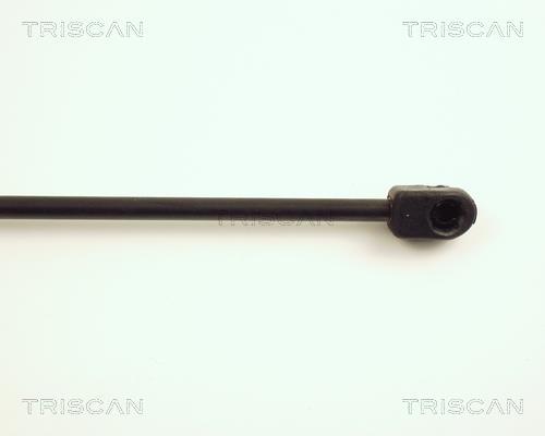 Vérin (Vérin de hayon) Triscan A/S 8710 23205
