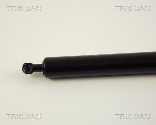 Vérin (Vérin de hayon) Triscan A/S 8710 23207