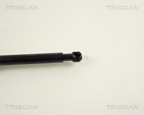 Vérin (Vérin de hayon) Triscan A/S 8710 23207