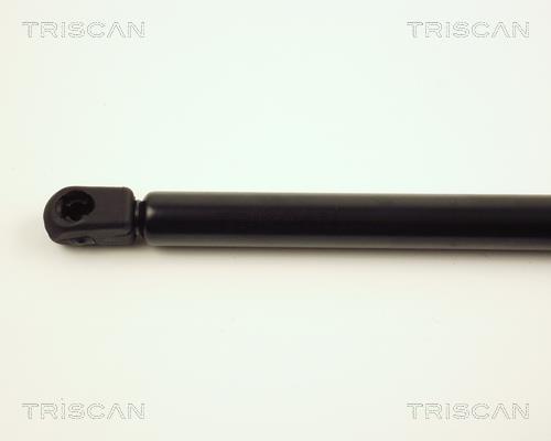 Vérin (Vérin de hayon) Triscan A/S ref. 8710 23208