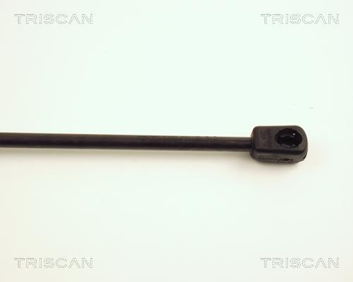 Vérin (Vérin de hayon) Triscan A/S ref. 8710 23208