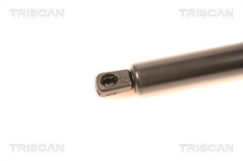 Vérin (Vérin de hayon) Triscan A/S 8710 23209