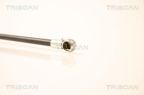 Vérin (Vérin de hayon) Triscan A/S 8710 23209