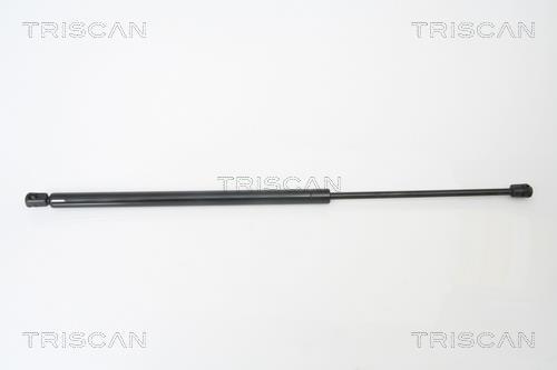 Vérin (Vérin de hayon) Triscan A/S 8710 23210