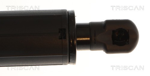 Muelle neumático, maletero/compartimento de carga Triscan A/S 8710 232103
