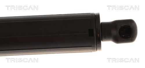 Vérin de hayon, de coffre (Vérin de hayon) Triscan A/S 8710 232104