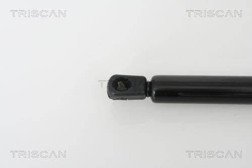 Vérin (Vérin de hayon) Triscan A/S 8710 23210