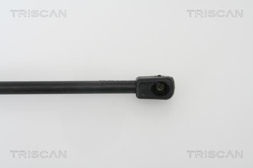 Vérin (Vérin de hayon) Triscan A/S 8710 23210