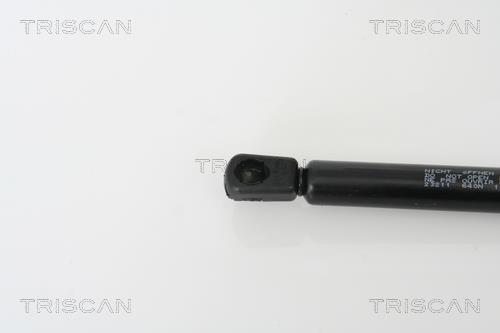 Vérin (Vérin de hayon) Triscan A/S 8710 23211