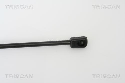 Vérin (Vérin de hayon) Triscan A/S 8710 23211