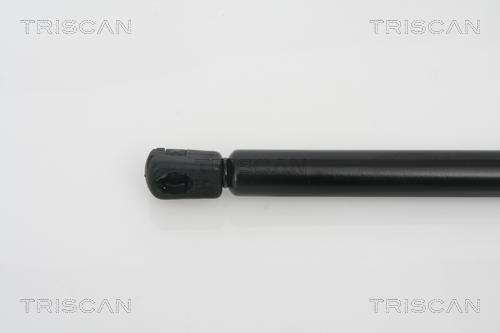 Vérin (Vérin de hayon) Triscan A/S 8710 23212