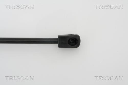 Vérin (Vérin de hayon) Triscan A/S 8710 23212