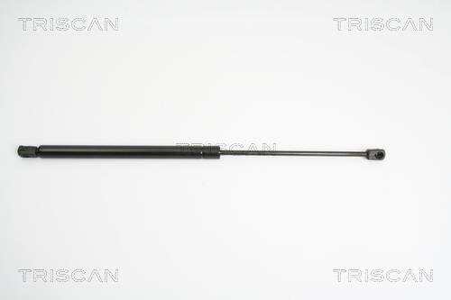 Cilindro Triscan A/S 8710 23213
