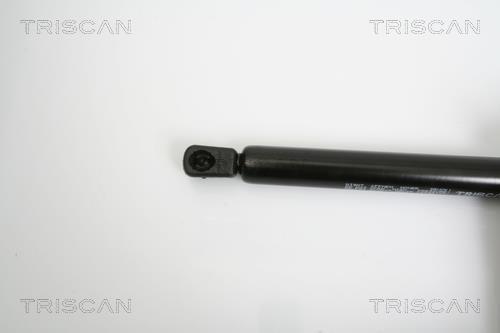 Cilindro Triscan A/S 8710 23213
