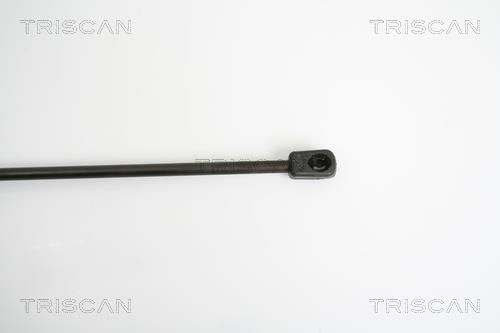 Cilindro Triscan A/S 8710 23213