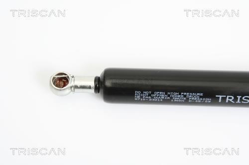 Vérin (Vérin de hayon) Triscan A/S 8710 23214