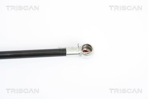 Vérin (Vérin de hayon) Triscan A/S 8710 23214