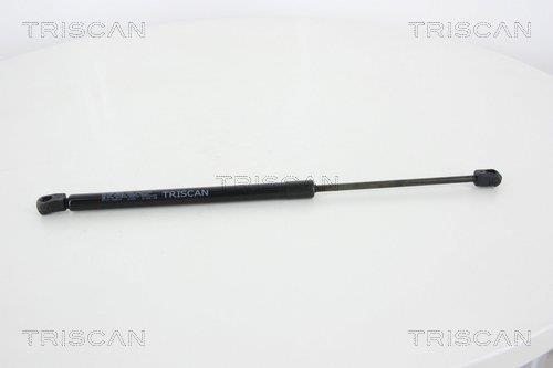 Muelle neumático Triscan A/S ref. 8710 23215