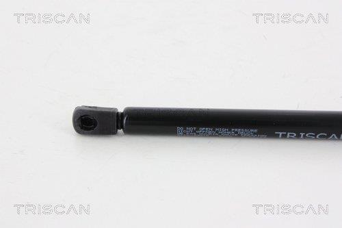 Muelle neumático Triscan A/S ref. 8710 23215