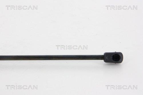 Muelle neumático Triscan A/S ref. 8710 23215
