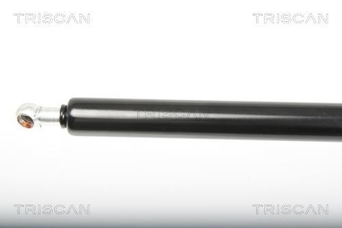 Vérin (Vérin de hayon) Triscan A/S 8710 23216