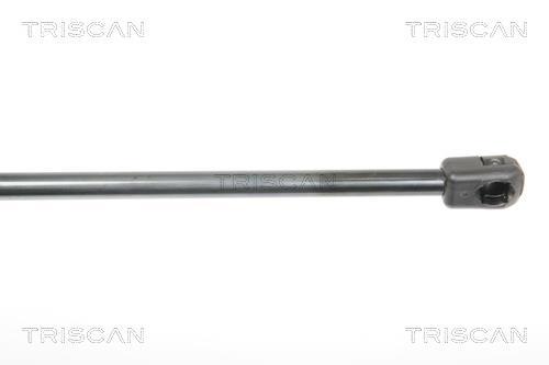 Vérin (Vérin de hayon) Triscan A/S 8710 23216