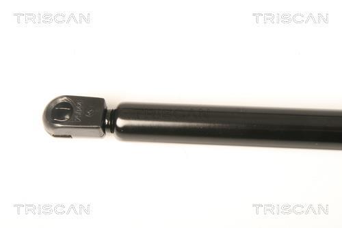 Vérin (Vérin de hayon) Triscan A/S 8710 23217