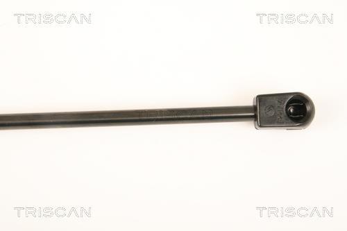 Vérin (Vérin de hayon) Triscan A/S 8710 23217
