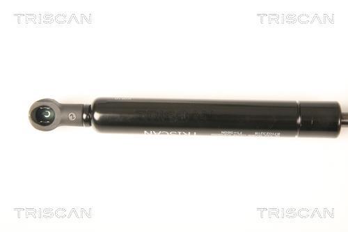 Vérin (Vérin de hayon) Triscan A/S 8710 23218