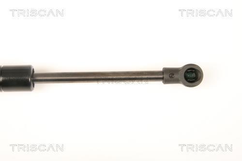 Vérin (Vérin de hayon) Triscan A/S 8710 23218