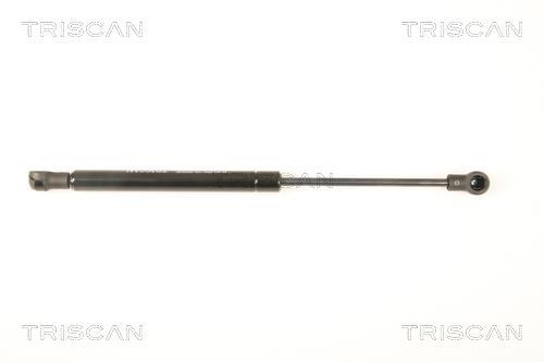 Muelle neumático Triscan A/S 8710 23219