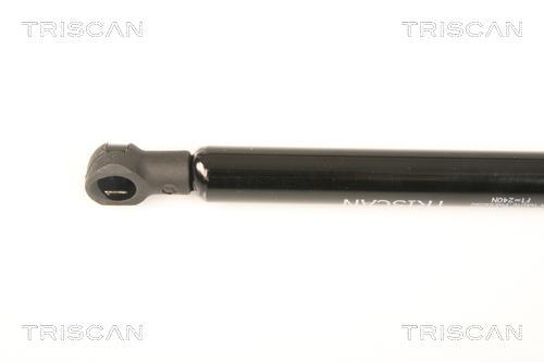 Muelle neumático Triscan A/S 8710 23219