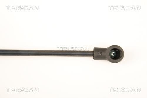 Muelle neumático Triscan A/S 8710 23219