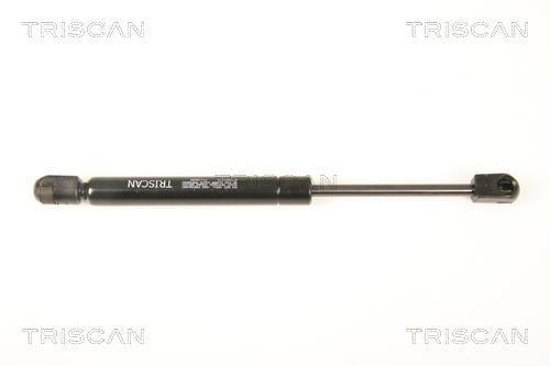 Vérin (Vérin de hayon) Triscan A/S 8710 23221