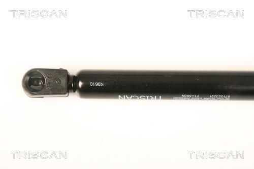 Vérin (Vérin de hayon) Triscan A/S 8710 23221