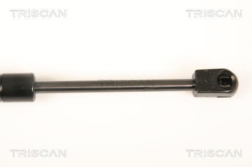 Vérin (Vérin de hayon) Triscan A/S 8710 23221