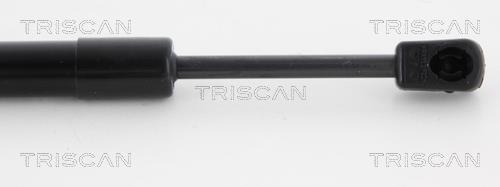 Vérin (Vérin de hayon) Triscan A/S 8710 23223