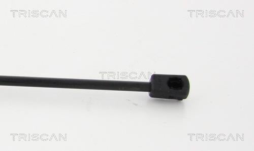 Vérin (Vérin de hayon) Triscan A/S 8710 23225