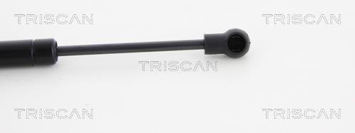 Vérin (Vérin de hayon) Triscan A/S 8710 23228
