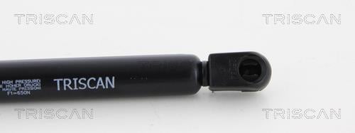 Vérin (Vérin de hayon) Triscan A/S ref. 8710 23229