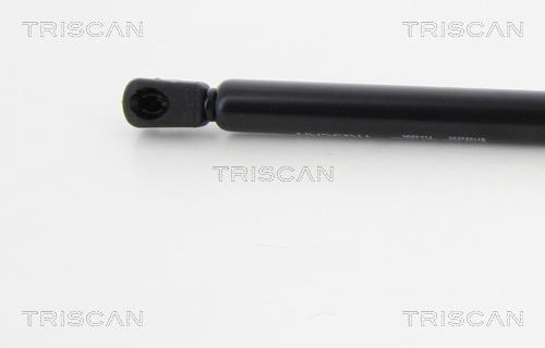 Vérin (Vérin de hayon) Triscan A/S 8710 23230