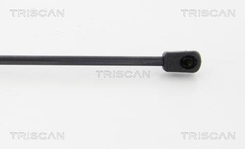 Vérin (Vérin de hayon) Triscan A/S 8710 23230