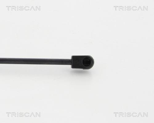 Vérin (Vérin de hayon) Triscan A/S 8710 23231