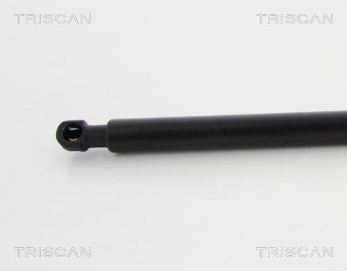 Vérin (Vérin de hayon) Triscan A/S 8710 23233