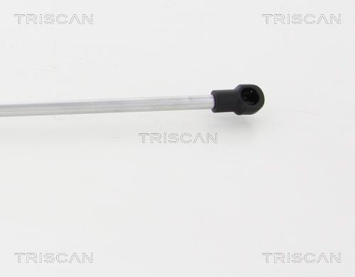 Vérin (Vérin de hayon) Triscan A/S 8710 23233