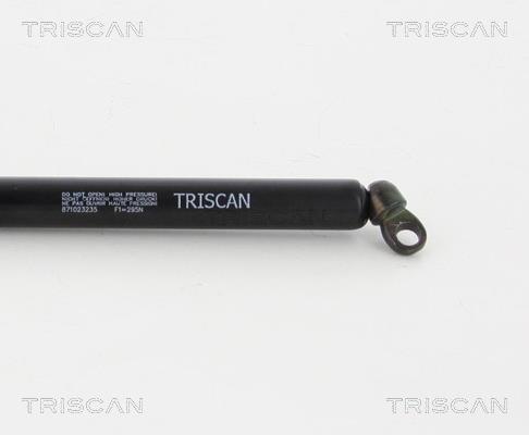 Vérin (Vérin de hayon) Triscan A/S 8710 23235