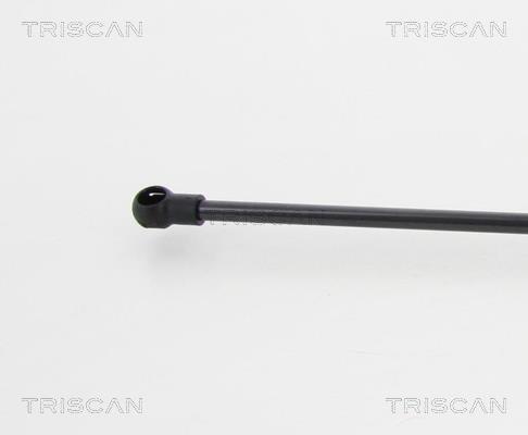 Vérin (Vérin de hayon) Triscan A/S 8710 23235